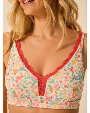 Stripe & Stare Lace Plunge Bra - Orange