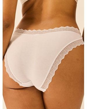 Stripe & Stare Zigzag Lace Original Knicker - Brown