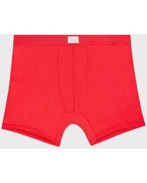 Stripe & Stare Boxer - Red