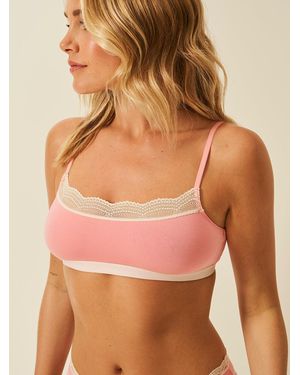 Stripe & Stare Lace Square Bra - Brown