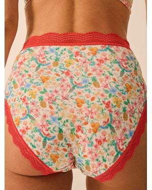 Stripe & Stare High Rise Knicker - Red