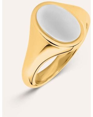 Stroili Anello Chevalier Radiance Acciaio Bicolore - Metallizzato