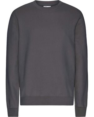 COLORFUL STANDARD Classic Organic Crew - Grey