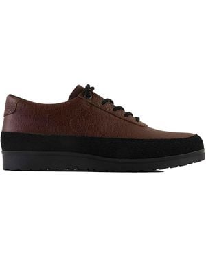 Tarvas Explorer - Brown