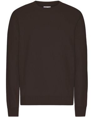 COLORFUL STANDARD Classic Organic Crew - Brown