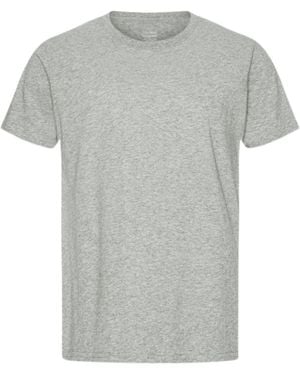 COLORFUL STANDARD Classic Organic Tee - Grey