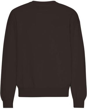 COLORFUL STANDARD Organic Oversized Crew - Brown