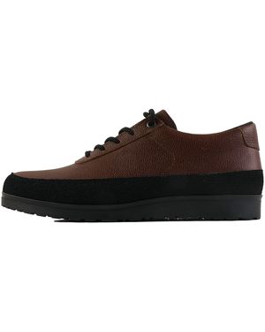 Tarvas Explorer - Brown