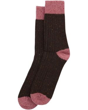 Barbour Houghton Socks - Brown