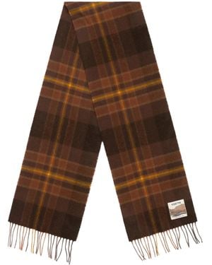 Kestin Gala Scarf - Brown