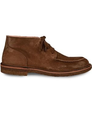 Astorflex Dukeflex Boot - Brown