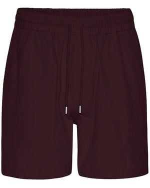 COLORFUL STANDARD Organic Twill Shorts - Purple