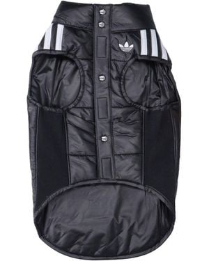 adidas Padded Pet Vest - Blue