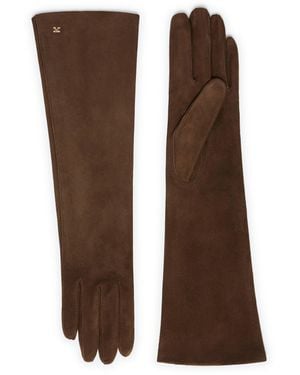 Max Mara Afideesuede Gloves - Brown