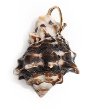 COLLANINE COLORATE Natural Shell Pendant - Multicolor