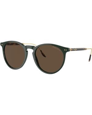Ralph Lauren Sunglass Rl8181p - Black