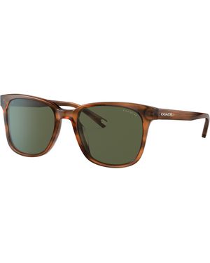 COACH Sunglass Hc8313u C2095 - Black