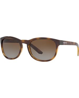 Sunglass Hut Collection Sunglass Hu2015 - Black