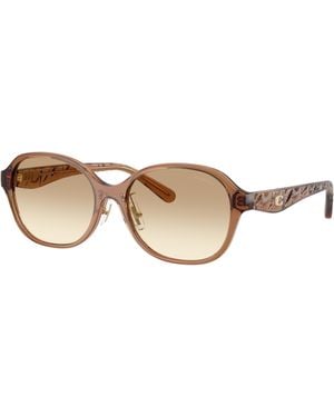 COACH Sunglass Cby85 - Black
