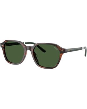 Polo Ralph Lauren Sunglass Ph4234u - Green
