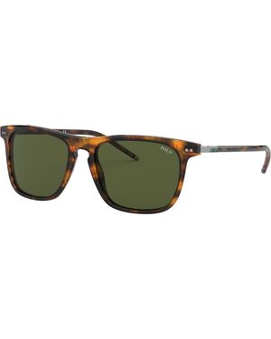 Polo Ralph Lauren Sunglass Ph4168 - Black