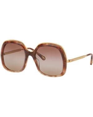 Chloé Sunglass Ch0327s - Black
