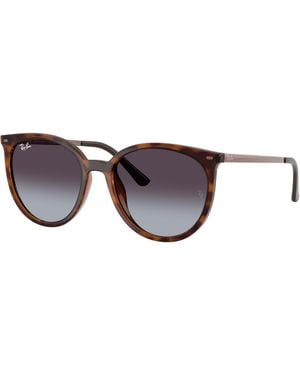 Ray-Ban Sunglass Rb4464 - Black