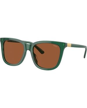 Polo Ralph Lauren Sunglass Ph4201u - Black