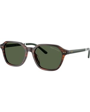 Polo Ralph Lauren Sunglass Ph4234u - Green