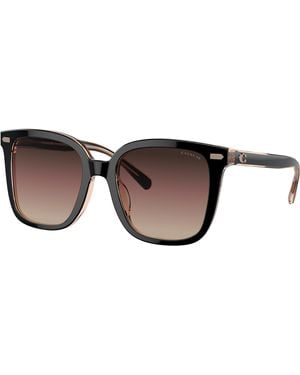 COACH Sunglass Hc8381f Cl919 - Black