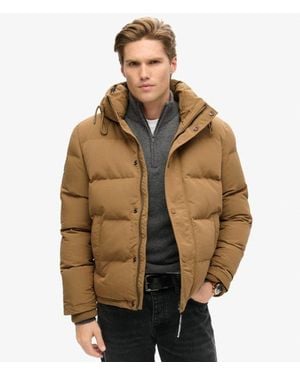 Superdry & Co Everest Short Hooded Puffer Jacket - Brown