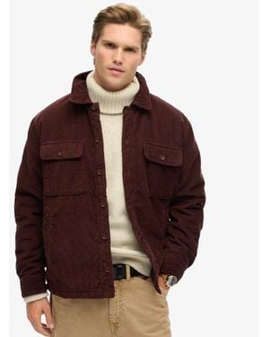 Superdry Cotton Surplus Corduroy Overshirt - Brown
