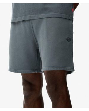 Superdry & Co Micro Logo Shorts - Blue