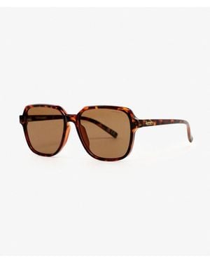 Superdry Femme Lunettes De Soleil Carrées Overtaille Taille: 1Taille - Marron