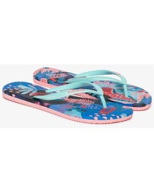 Superdry Printed Flip Flops - Blue