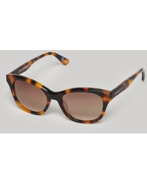 Superdry & Co Classic Tortoiseshell Print Sdr Britanny Sunglasses - Metallic