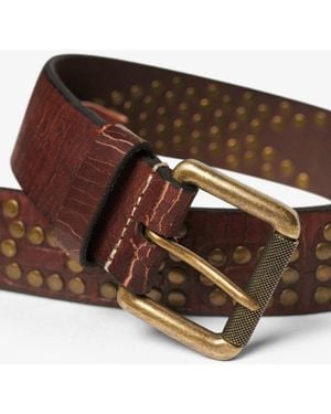 Superdry & Co Logo Goods Belt - Brown