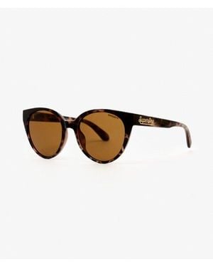 Superdry Cat Eye Sunglasses - Brown