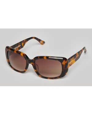 Superdry Dames logo imprimé lunettes de soleil sdr dunaway - Marron