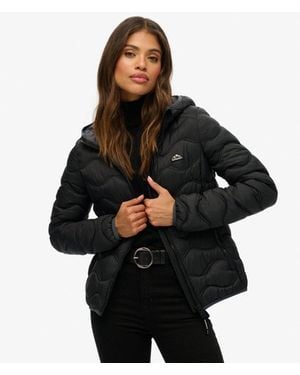 Superdry Hooded Fuji Lite Wave Padded Jacket - Black