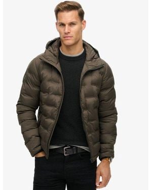 Superdry Hooded Quilted Puffer Coat - Black