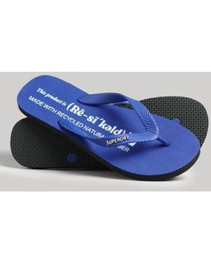Superdry Studios Teenslippers - Blauw