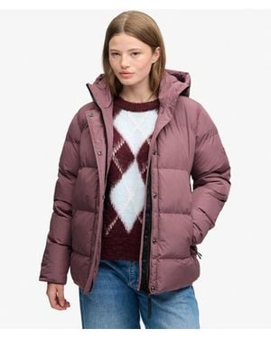 Superdry & Co Hooded Puffer Sports Jacket - Purple