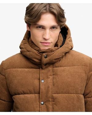 Superdry Premium Hooded Cord Puffer Jas - Bruin