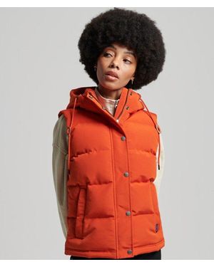 Superdry Vintage Hooded Everest Gilet - Orange