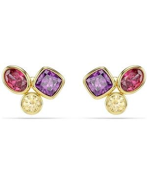 Swarovski Imber ohrstecker, verschiedene schliffe - Lila