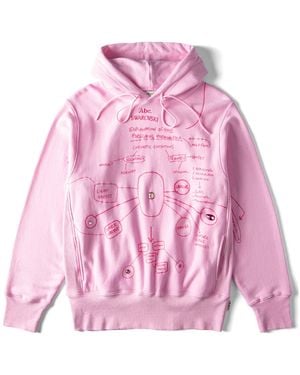 Swarovski Advisory Board Crystals, Explanation Of The Foregoing Phenomena Hoodie - Pink