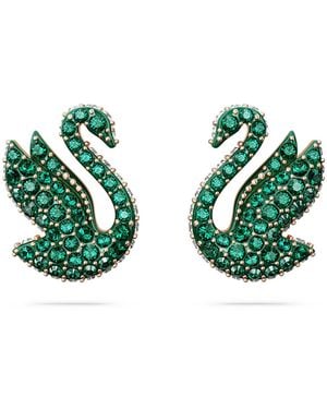 Swarovski Swan Stud Earrings, Swan, Rose-Tone Plated - Green