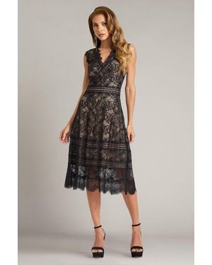 Tadashi Shoji Official Online Boutique Ralla Orchid Lace Dress - Multicolor