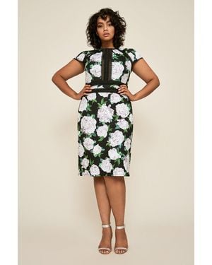 Tadashi Shoji Official Online Boutique Floral Neoprene Dress - Natural